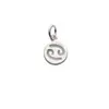 Accesorios de Plata al por Mayor Plata S925 Plata Lisa Doce Constelaciones Placa Redonda Colgante Colgante DIY Pulsera Hecha a Mano Joyería S0226