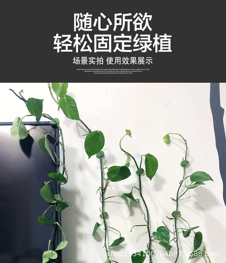 绿萝固定器2_01.jpg