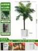Grande Palmeira Areca Simulada Planta Tropical Coqueiro Planta Verde Biônica de Interior Árvore Falsa Atmosfera Paisagismo Ornamentos em Vaso