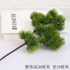 Galhos e Folhas de Pinheiro, Agulhas de Pinheiro Artificiais, Figueiras, Ciprestes, Pinheiro da Beleza Arhat, Pinheiro de Boas-Vindas Estilo Chinês, Árvores para Paisagismo, Folhas de Pinheiro Negro, Outros