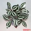 En stock suministro 7 manojos de hojas pegadas planta de simulación pared de plantas pared de plantas verdes decoración de paisajismo arreglo floral en maceta hojas verdes