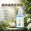 Solución nutriente universal para plantas: promueve el crecimiento de las raíces, fortalece las plántulas, mejora el color de las hojas y fomenta floraciones vibrantes. Adecuado tanto para plantas de interior en maceta como para cultivo hidropónico o en tierra