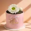 Decoración de Pastel de Acrílico Estilo Ins Transfronterizo para el Día de la Madre, Decoración Lateral de Pastel de Acrílico Feliz Día de la Madre