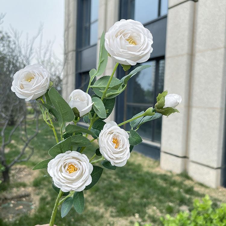 6头花蕊小玫瑰-sxlzjx-白色.JPG