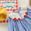 Ropa Infantil Coreana Vestido de Niña con Bordado de Manzana Estilo Otoño 2026 Diseño de Nicho Vintage Elegante Vestido Camisa de Manga Larga