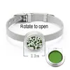 Pulsera de Aromaterapia Pulsera Hebilla para Aceite Esencial Hebilla de Acero de Titanio Reloj Ajustable con Pulsera Árbol de la Vida Fábrica Outlet