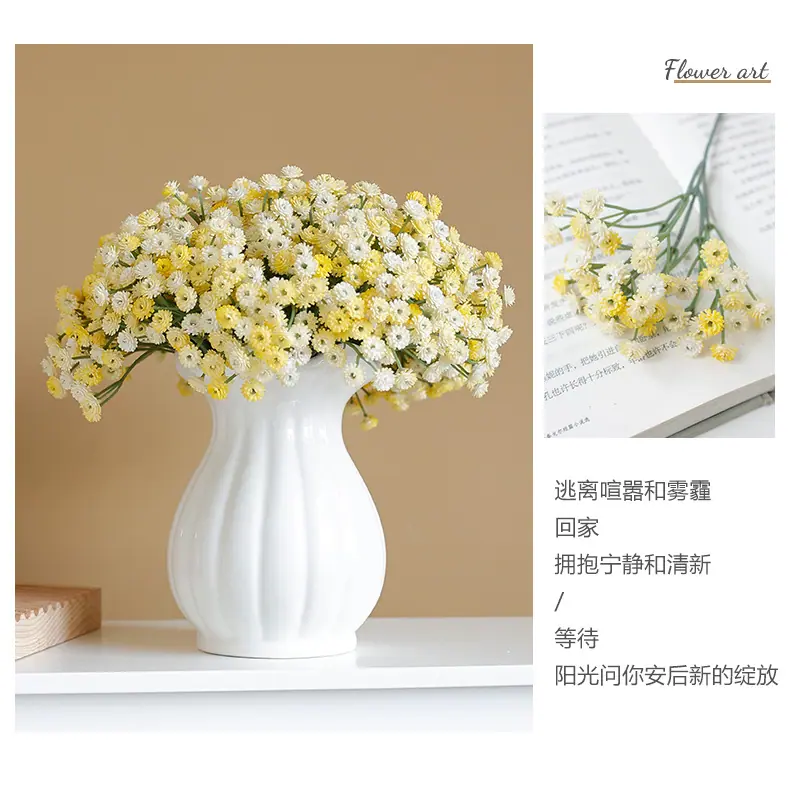 迷你小单枝奥斯丁满天星-黄底_10.jpg