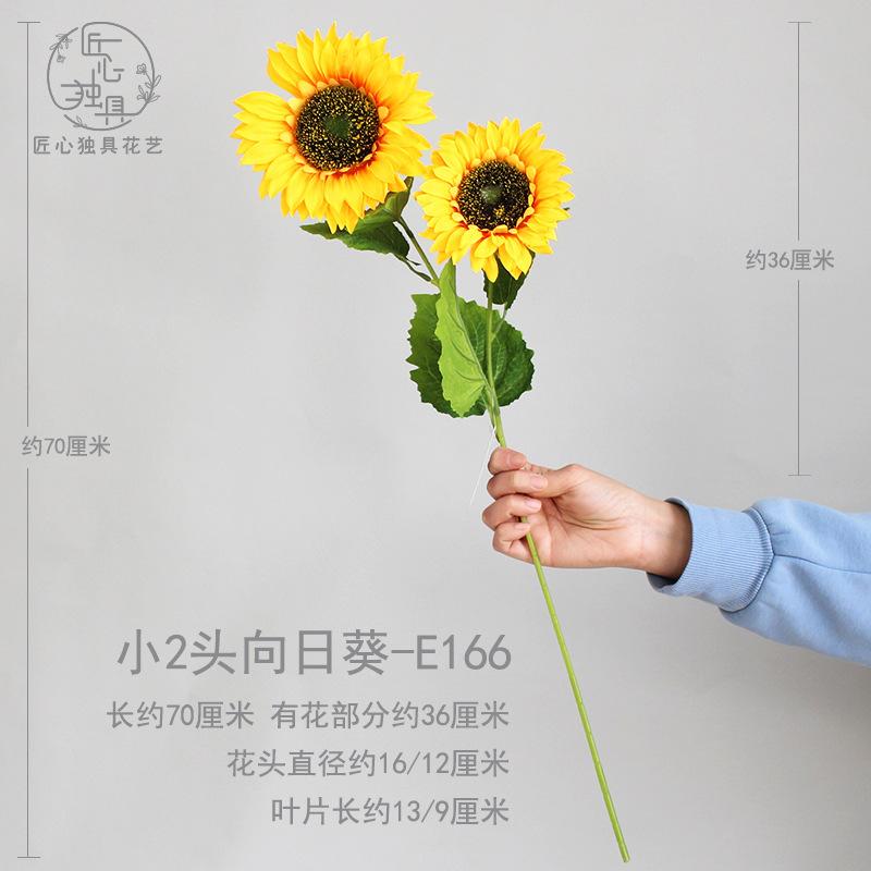 小2头向日葵 E166