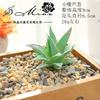 003 Cabeça de Flor de Suculenta Verde Aveludada Criativa Suprimentos DIY Acessórios para Bonsai Flor Artificial Jinhua Fábrica Fornecimento Direto