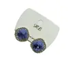 Pendientes de Cristal Azul para Mujer 2025 Nuevo Tendencia Diseño de Nicho Gama Alta Lujo Ligero Celebridad de Internet Pendientes de Otoño e Invierno