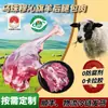 Pata Trasera de Cordero con Hueso de la Bandera Dongwu Zhumuqin, Xilin Gol, Mongolia Interior, Cordero Puro Criado en Pastos, Corte Crudo para Uso Comercial