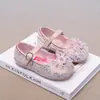 Zapatos de Cristal de Princesa Elsa para Niñas 2026 Primavera y Otoño Lazos Zapatos de Baile para Niñas Suela Suave Versátiles Zapatos de Cuero para Niños