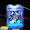 Botella de Ecosistema de Paisaje Micro Marimo Bola de Musgo, Divertida en Interiores