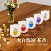 Fabricantes de Perfumes Transfronterizos Suministran Directamente Desodorantes de Aire Fresco, Película Transpirable con Fragancia para Armarios y Soportan Dropshipping