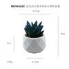 En existencia Simulación de dedos de bergamota azul carnosos Planta en maceta Adornos de escritorio Mini planta verde Bonsai TEMU Planta de simulación