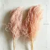 Atacado de Grama Eterna do Fabricante para Casamento e Decoração de Casa DIY Materiais Florais, Grama de Cabelo Longo para Flores de Arte Penduradas