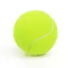 20 Pelotas de Tenis de Entrenamiento para Niños y Perros, Pelotas de Tenis Resistentes a Mordeduras para Principiantes, Pelotas de Masaje Fitness de Alta Elasticidad