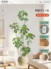 Plantas Verdes Artificiais de Alta Qualidade para Decoração de Sala de Estar, Planta Realista Falsa de Figueira-da-Índia Preta para Decoração de Sala de Transmissão ao Vivo