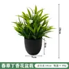 Plantas Pequenas de Eucalipto em Vaso Mais Vendidas no Exterior, Bonsai, Plantas Artificiais, Plantas Verdes Falsas, Decoração de Interior e Exterior Plástico
