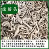 Auténtico Cabeza de Vid Local Medicina Herbal China Cabeza de Vid Salvaje Tu de Chaoshan Boca Blanca Jade Du Vid Blanco Roto Jade Du Vid