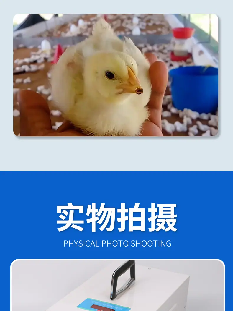 详 (7).jpg