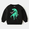 Suéter de terciopelo para niños al por mayor 2021 Ropa de invierno Abrigo coreano de terciopelo de dinosaurio para bebé Abrigo cálido para niño marea