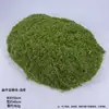 Alfombra de Césped Paisaje de Musgo Artificial Alfombra de Césped Paisaje Micro Decoración Pared de Paisaje Césped Plantas Verdes Tela de Terciopelo Venta Directa de Fábrica