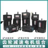 Motor de Control de Velocidad 15/25/40/60/90/120/200/250W Motor AC con Reducción de Velocidad por Engranajes 220V