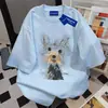 Camiseta de Algodón 100% Estilo Coreano Retro para Viaje, Cuello Redondo, Manga Corta, Mujer, Verano, Holgada, Adelgazante, Pareja, Top de Longitud Media