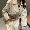 Bolso Pequeño para Mujer 2026 Nuevo de Moda Lona Primavera/Verano Nicho Retro Correa Ancha Bolso Cruzado Bolso de Pecho Bolso de Cintura