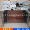 Varilla de Sujeción Aislada para Rieles 32x1850 Resistente a Impactos 60kg Varilla de Sujeción de Galga para Rieles Transfronterizos