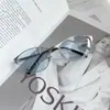 Óculos de Sol Tendência para Homens, Estilo Popular de Influenciador 2026 Novo Modelo, Óculos de Sol Tendência para Homens, Proteção UV para Dirigir ao Ar Livre, Óculos de Sol Estilo Ins para Mulheres