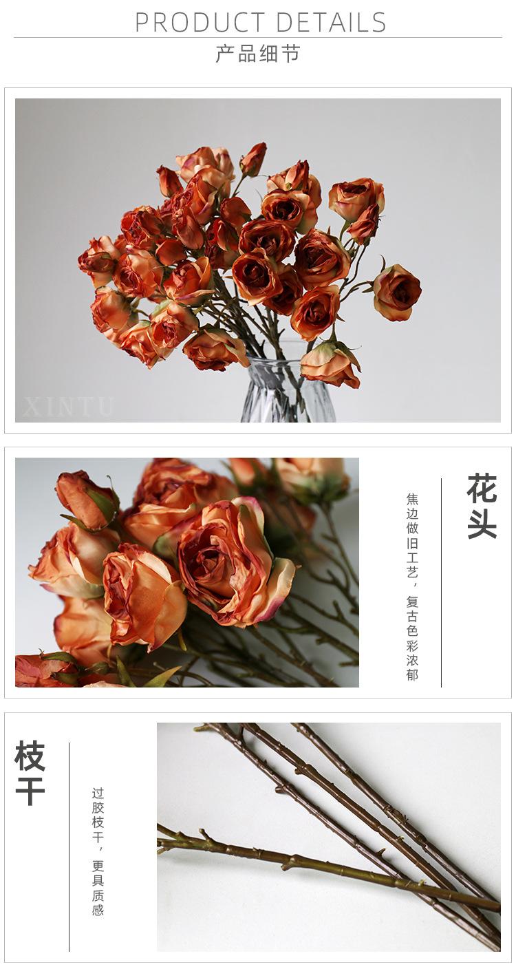 7头干枯玫瑰_10.jpg