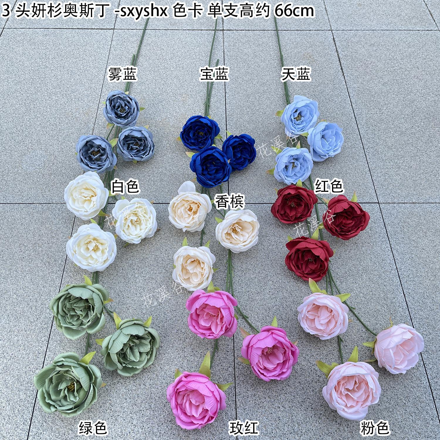 3头妍杉奥斯丁-sxyshx 色卡 花溪谷.jpg