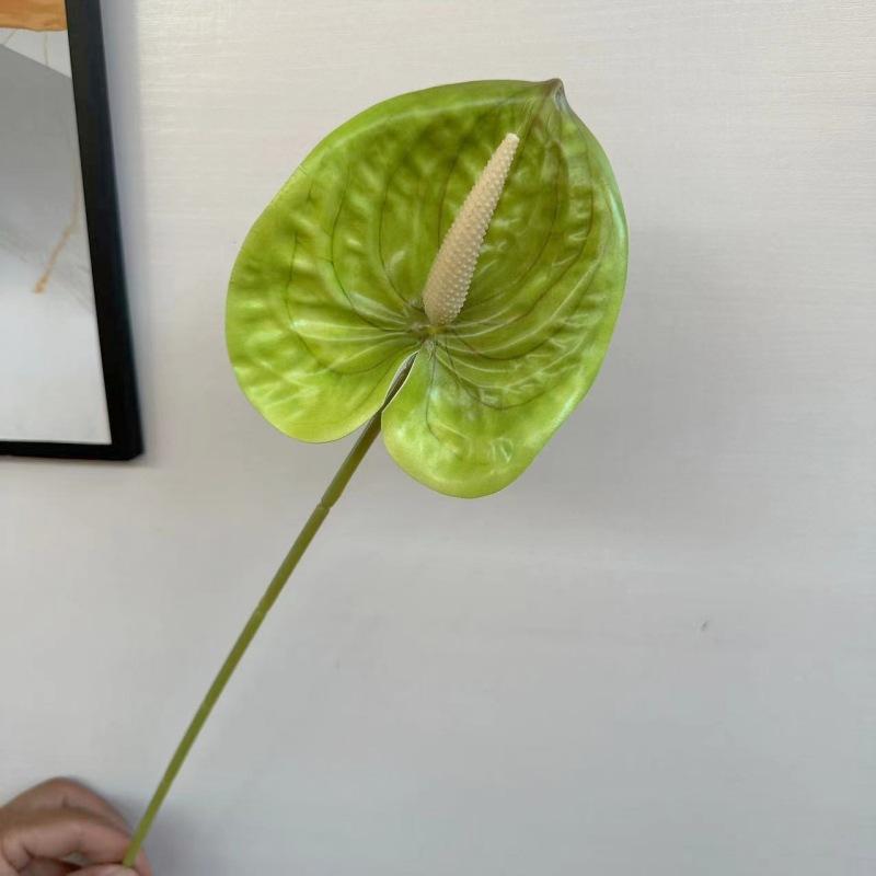 掌浅绿