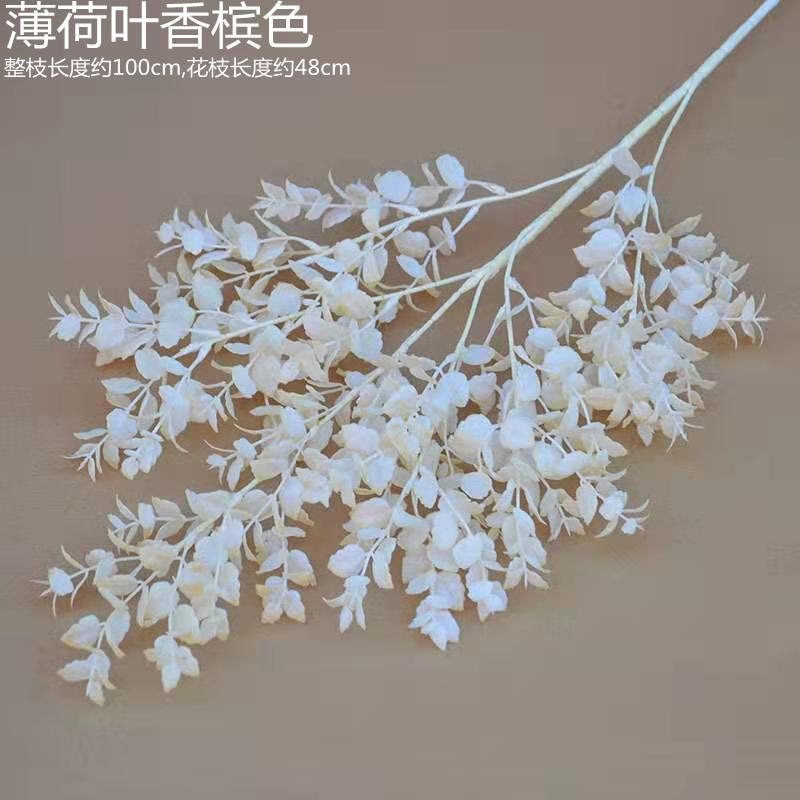薄荷叶香槟色