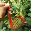 Saco de rede para pendurar melancia saco de rede para frutas saco de rede saco de pendurar com corda cordão portátil saco de pendurar melão plástico boca de cordão