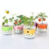 Pequenos Presentes para Crianças Plantas Verdes de Mesa DIY Plantio Interno para Estudantes Mudas de Feijão Pequeno Plantas em Vasos Flores Brinquedos Venda por Atacado