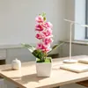 Vaso quadrado para atacado com 8 mini orquídeas phalaenopsis artificiais, planta falsa para fotografia e decoração de casamento