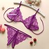 Renda de tentação sexy transparente feminina arquivo aberto tentação três pontos roupa íntima sexy feminina traje de virilha aberta uma geração de cabelo
