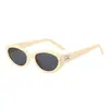 Óculos de Sol Retrô Feminino Populares na Internet Olho de Gato Protetor Solar de Alto Nível Óculos de Sol Anti-UV Masculino Tendência Versátil Lentes Lisas
