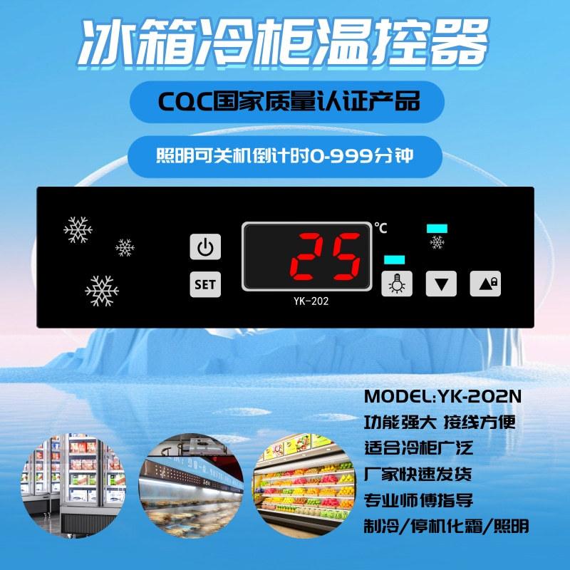 YK-202N冷柜电子温控器 (1)
