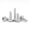 En Stock Tornillos Autorroscantes de Acero Inoxidable 304 Cabeza Redonda Ranura Phillips Cola Plana M1.4~M3 Ranura Phillips Cabeza de Lenteja Cola Plana Tornillos Pequeños