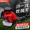 Yingqi Ebz8500 Secador de Pelo a Gasolina de Mochila de Alta Potencia Manguera Telescópica para Incendios Forestales Extintor de Viento y Fuego