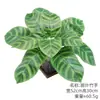 Flores Artificiales Amazon Transfronterizas de 5 Ramas 7 Ramas Hojas de Hierba Persa Helecho de Boston Decoración de Interiores Decoración de Bodas