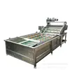 Máquina de Limpieza de Burbujas Bayberry Arándano Máquina Grande de Limpieza de Verduras Medicinales Máquina de Limpieza de Burbujas de Frutas y Verduras con Residuos Agrícolas