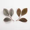 Flores e folhas artificiais mais vendidas da Shein três folhas de eucalipto prateadas DIY todos os tipos de flores artificiais flores e folhas de seda acessórios de buquê de rattan flores