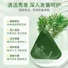 Mismo Producto de Douyin: Jabón Champú de Hoja de Platycladus Orientalis Uismann, Extracto de Planta de Hoja de Platycladus Orientalis, Aceite Esencial Artesanal de Ajenjo, Jabón para el Cabello Triángulo de Cinco Negros