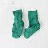 Meias de Algodão Classe A para Primavera e Outono para Meninos e Meninas, Meias de Cano Médio Cor Sólida, Meias Largas para Bebês