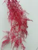 Flores Preservadas de Cor Vermelha para Arranjos de Casamento, Salões de Exposição de Hotéis e Vitrines; Fábrica de Materiais para Flores Preservadas Atacado